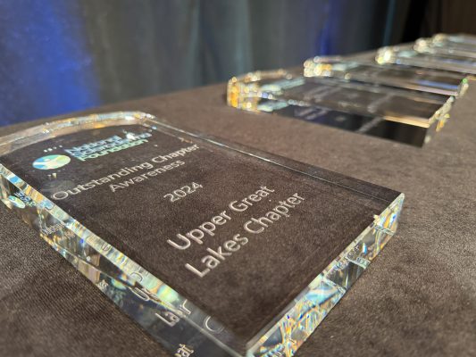 Picture of volunteer awards on a table.