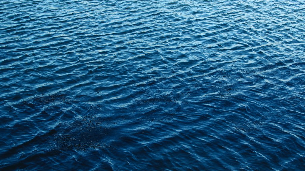 interior The 2026 National Scleroderma Conference is Coming to Baltimore, Maryland! banner image